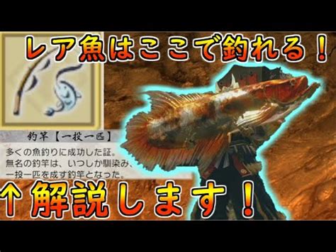 小金魚|【モンハンライズ】 小金魚の入手方法と使い道【MHR】